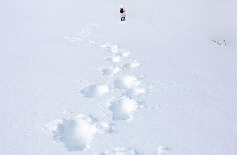зима, снег, мороз, следы Путь фотографа фото превью