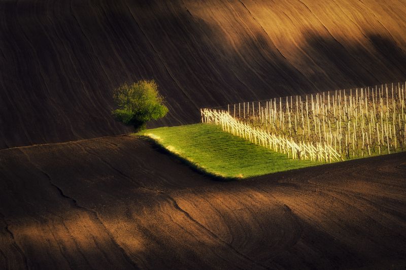 Spring in South Moravia фото превью