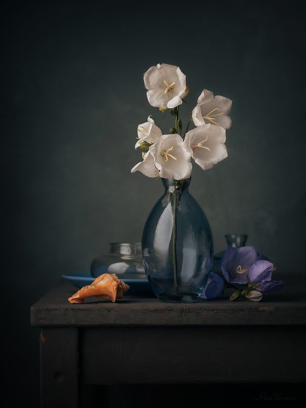 .... фото превью