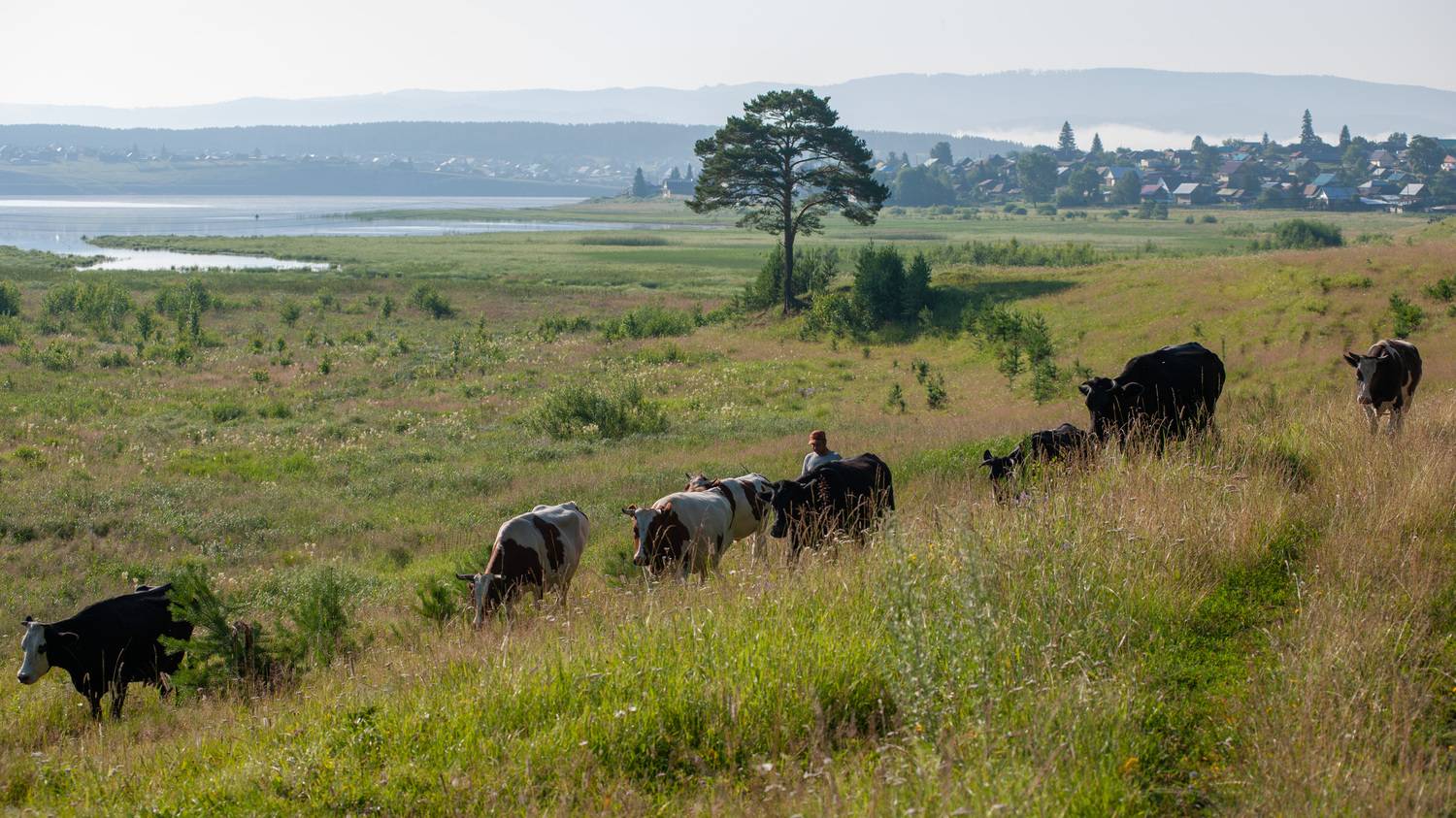 , Шустиков Дмитрий