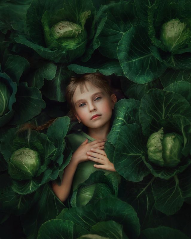 фото превью