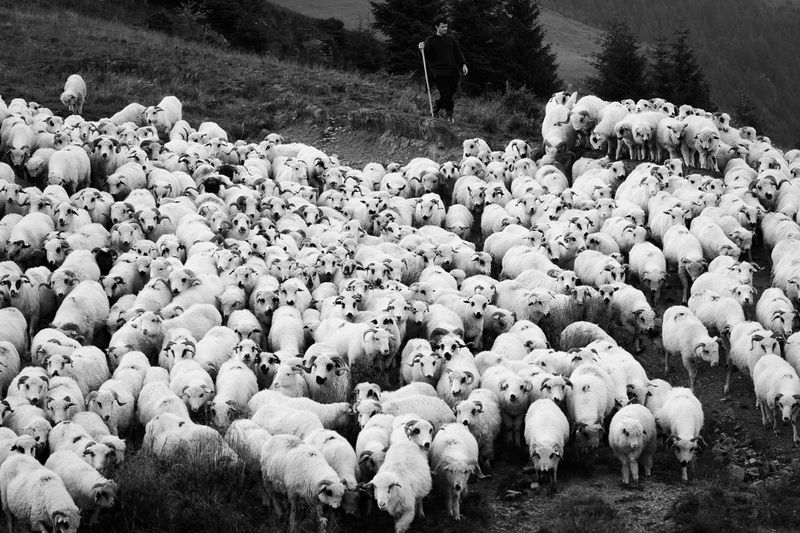 2016 фото превью