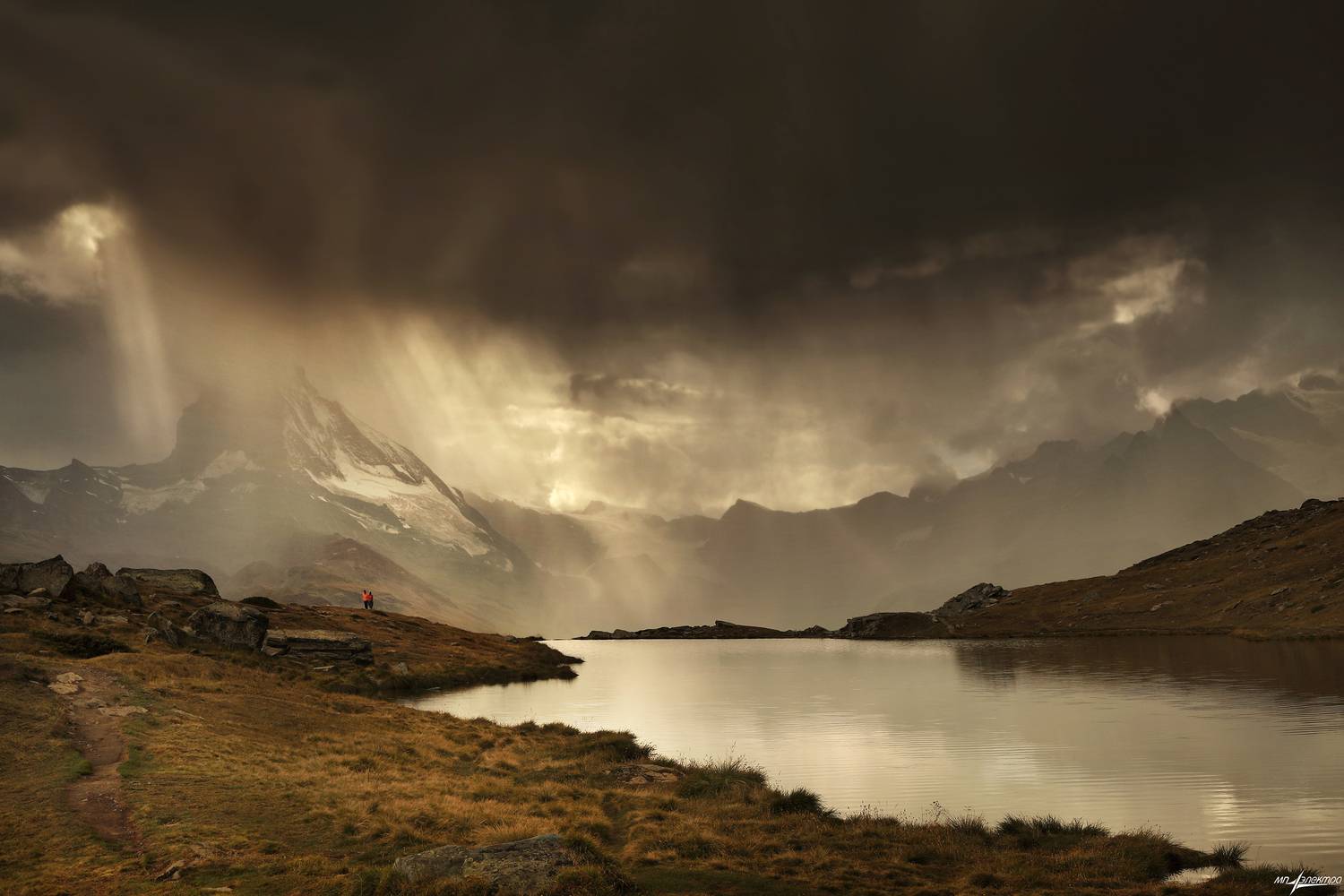 swiss, Матвеев Николай