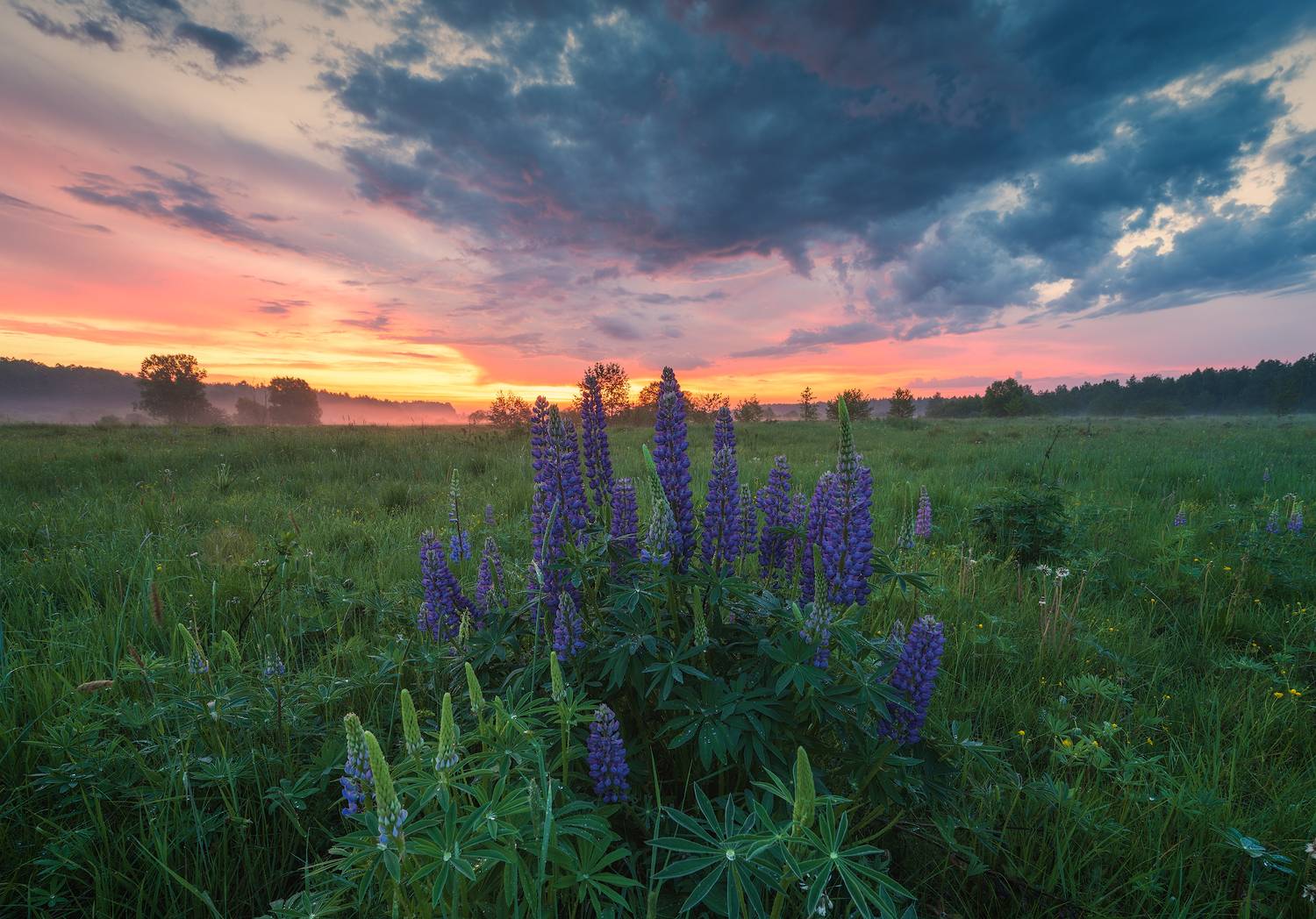 , Виталий Левыкин