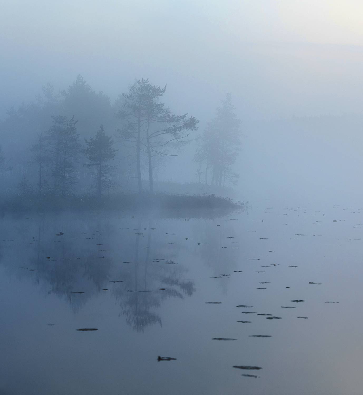 болото, карелия, туман, утро, рассвет, фототур, Павел Ващенков