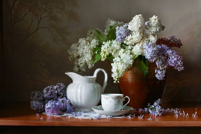 *** фото превью