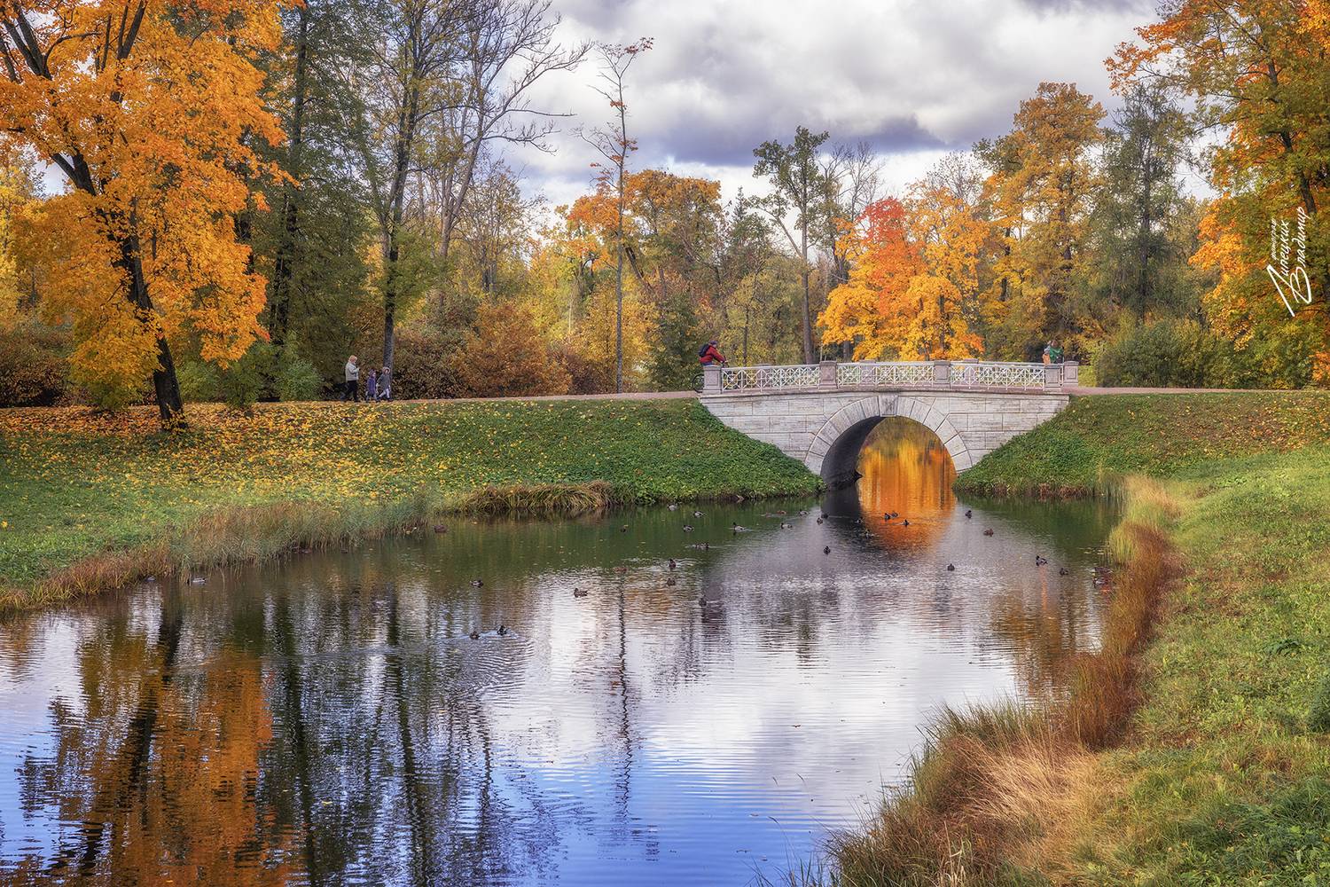 санкт-петербург, осень, парки, александровский парк, шапельный пруд, Липецких Владимир