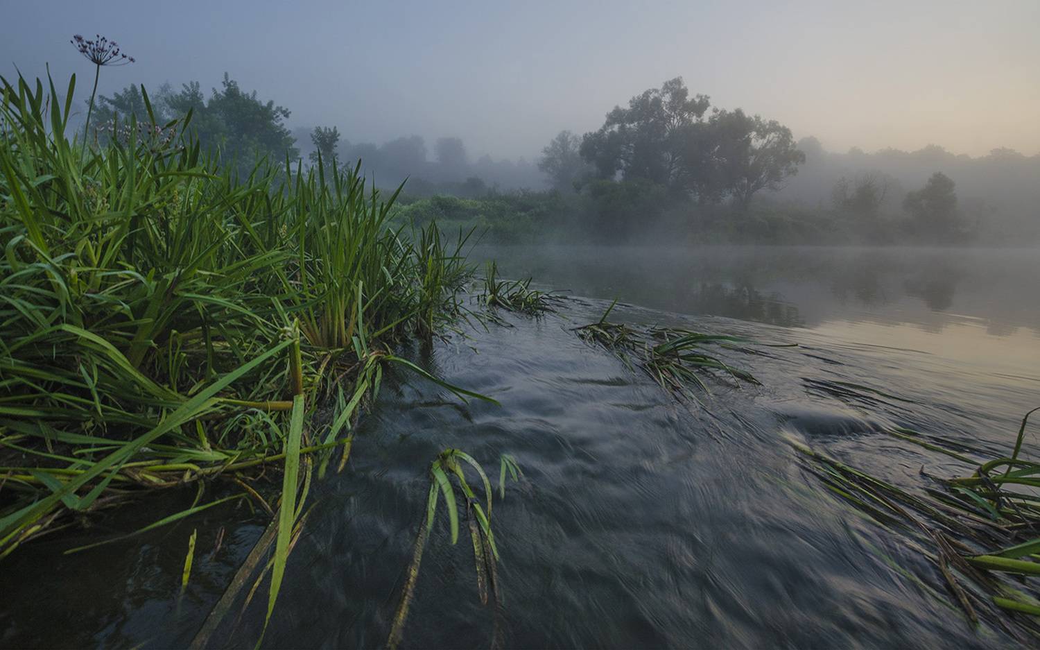 лето, якшино, река, упа, Михаил Агеев