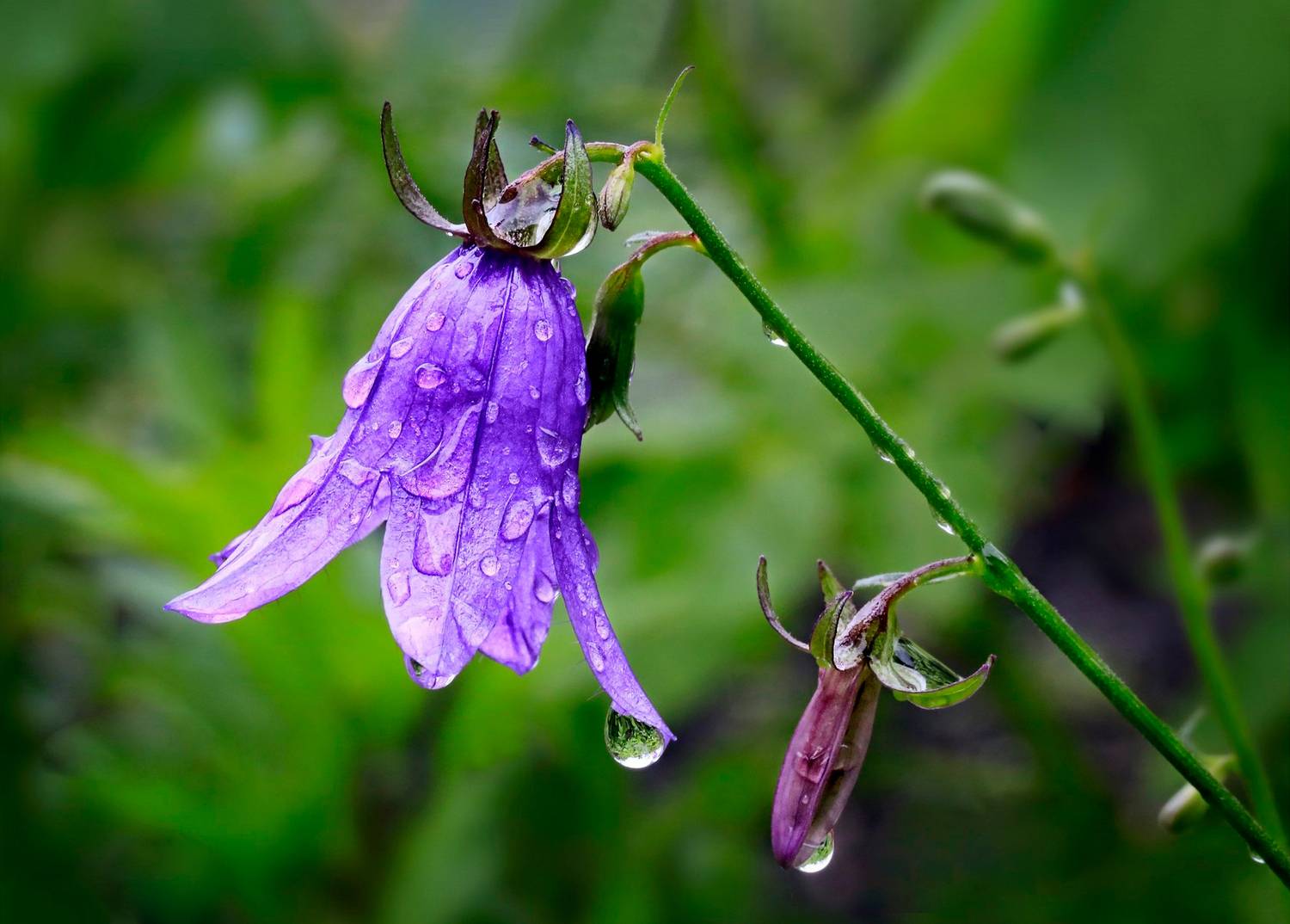 , Ушаков Валерий