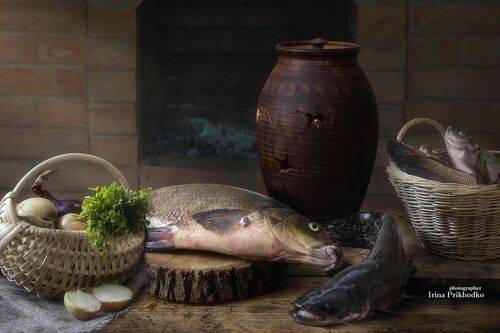 Натюрморт с рыбой