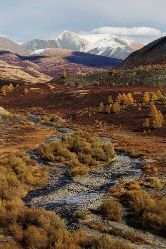 Алтайские просторы