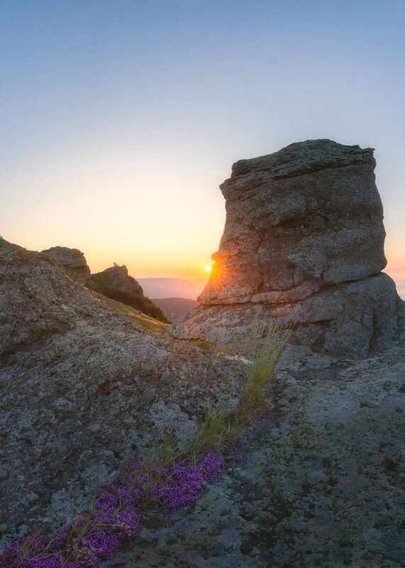 Цветы и камни фото превью