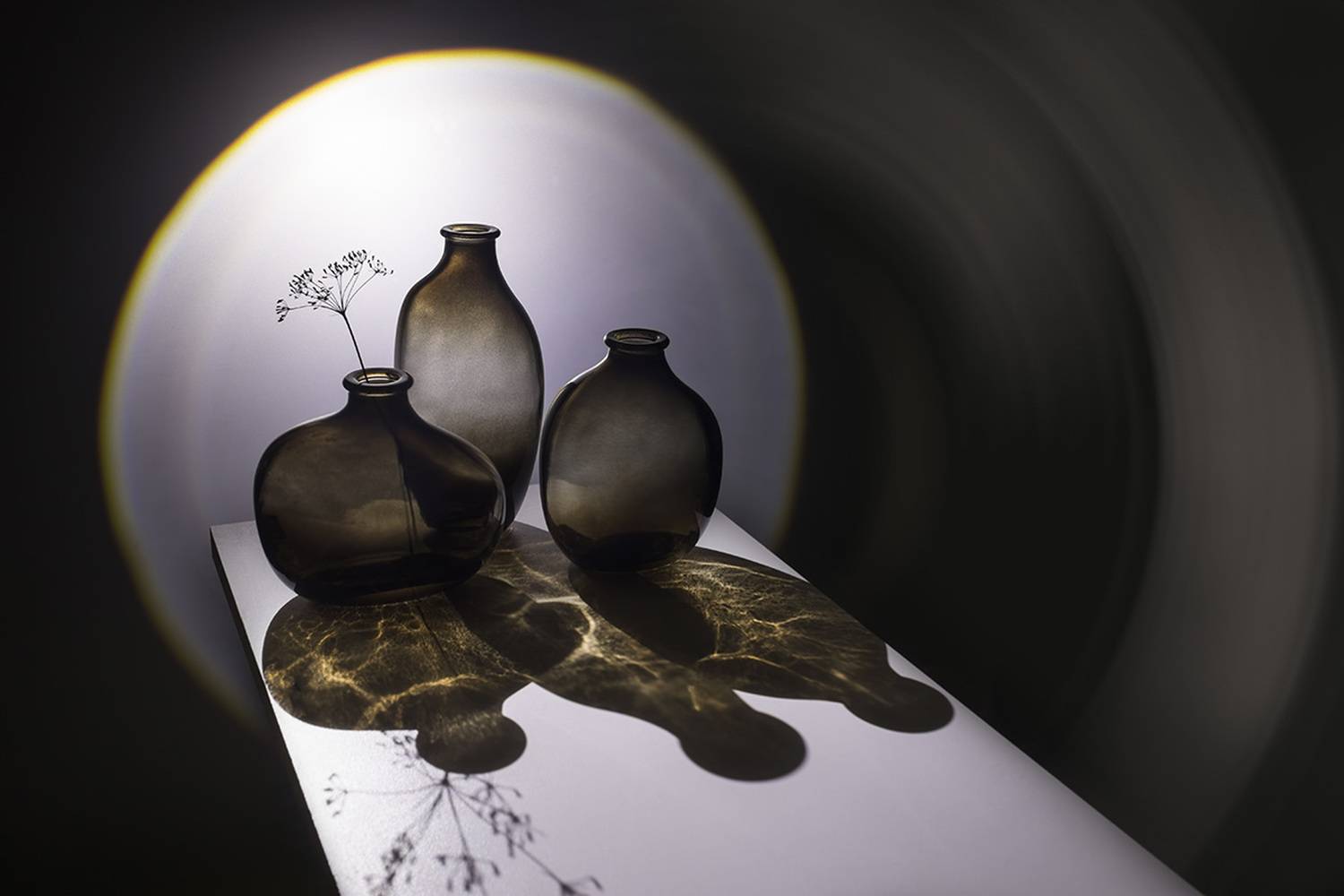 , Евгений Попов