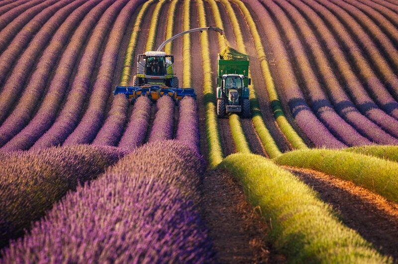 Provence фото превью