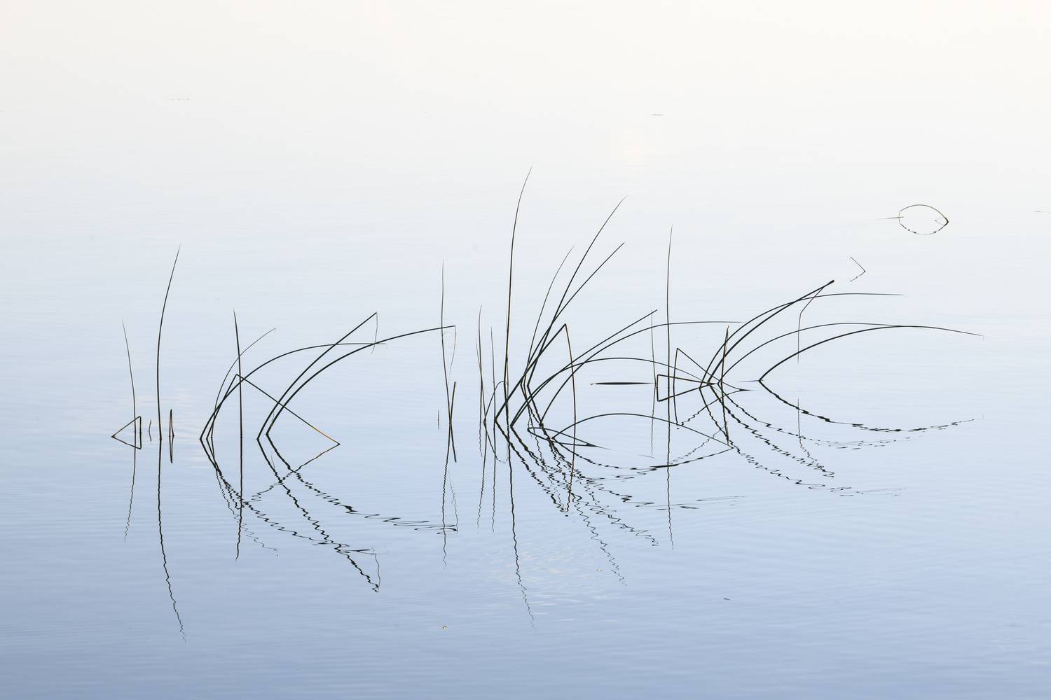 , Пупонин Сергей