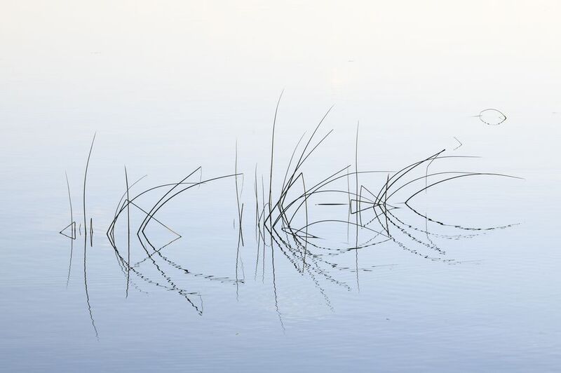 Serenity фото превью