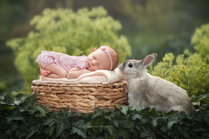 фото превью