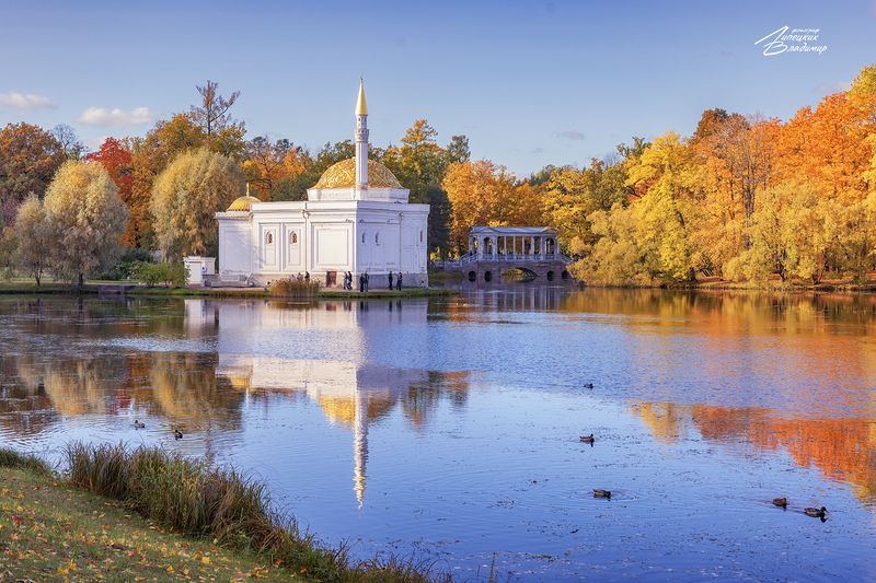 санкт-петербург, екатерининский парк. По осенним паркам Санкт-Петербурга. фото превью