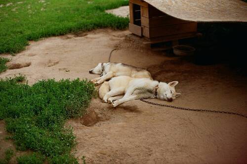 После ночной смены