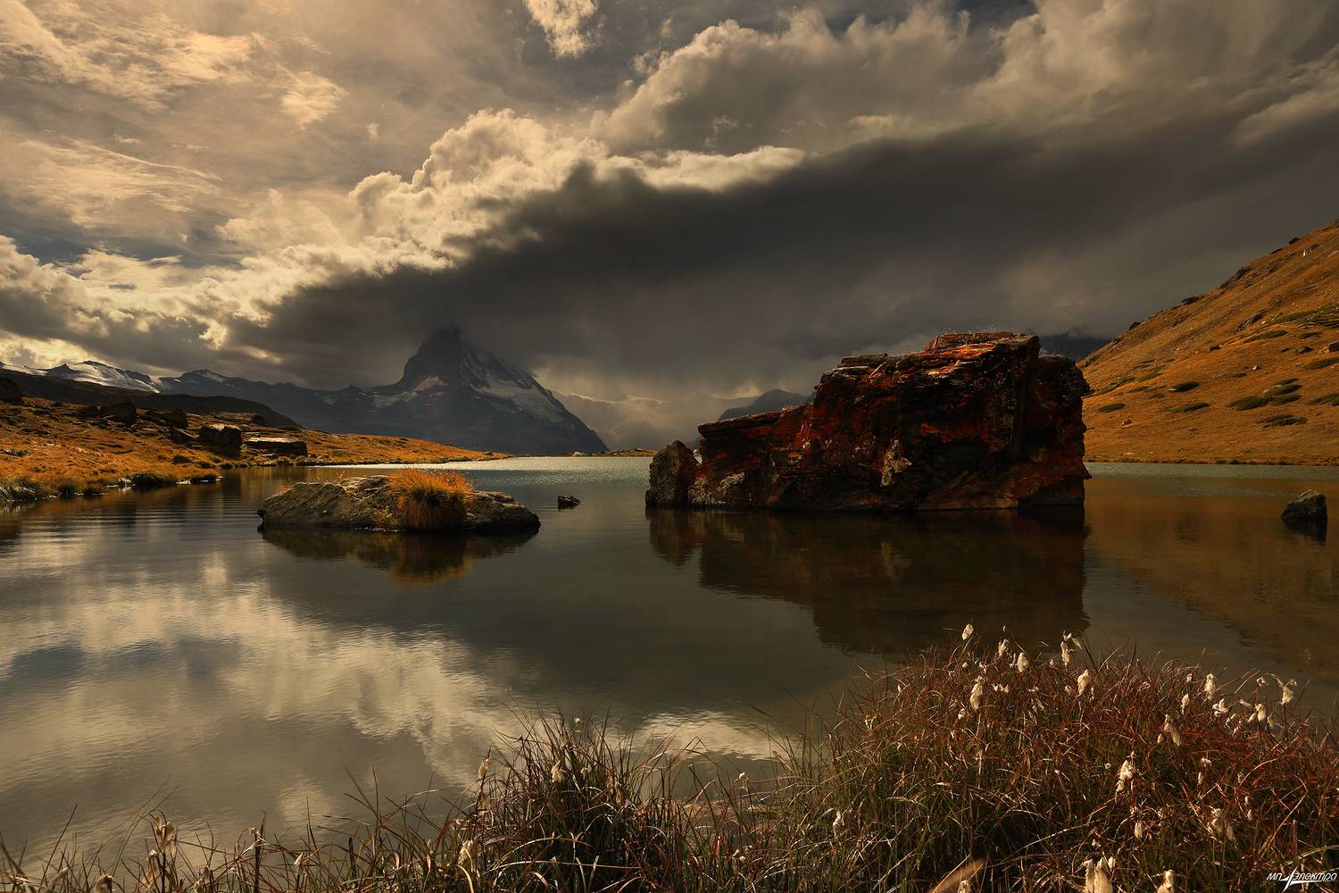 swiss, Матвеев Николай