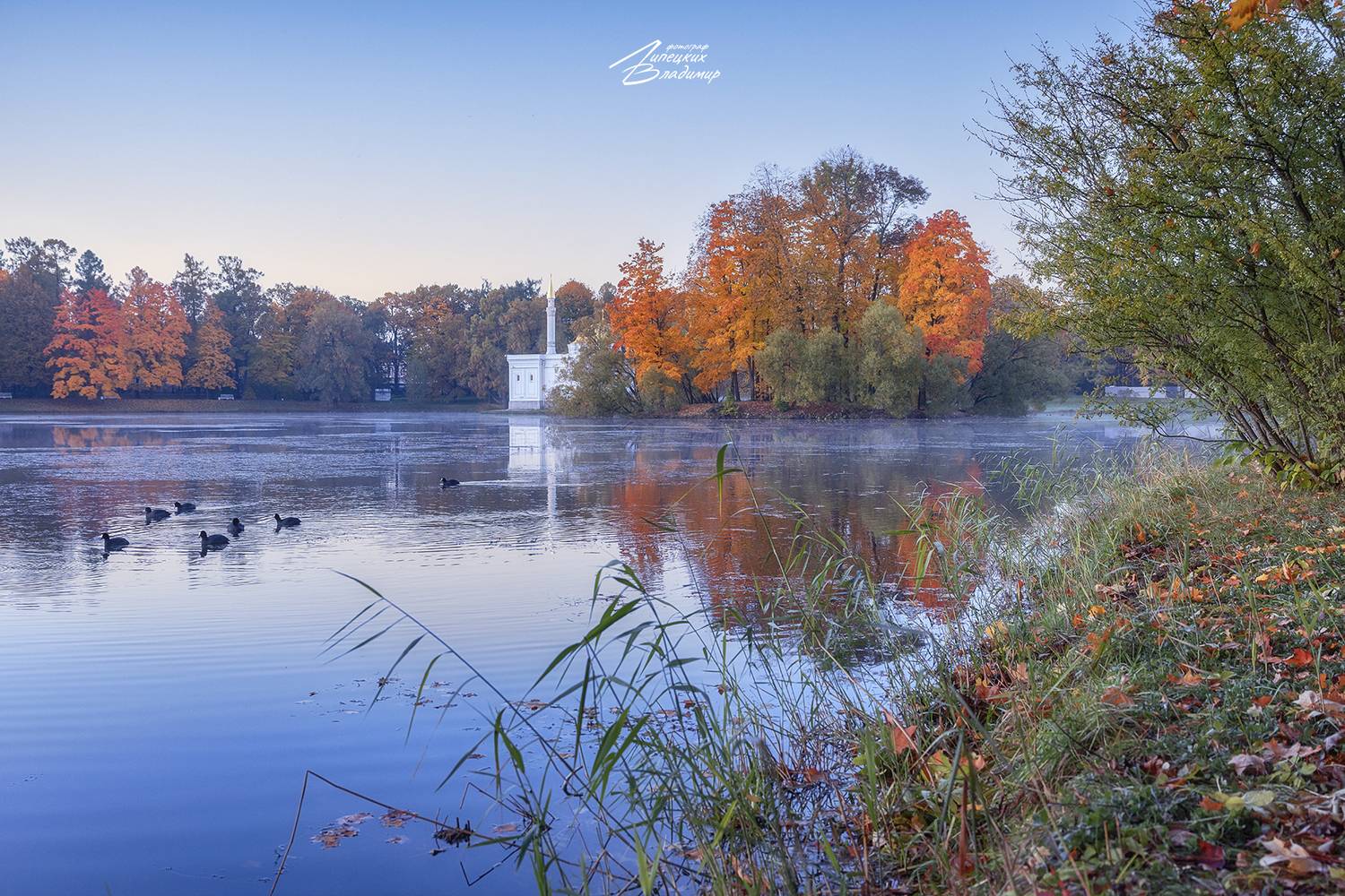 санкт-петербург, екатерининский парк, осень, утро, Липецких Владимир