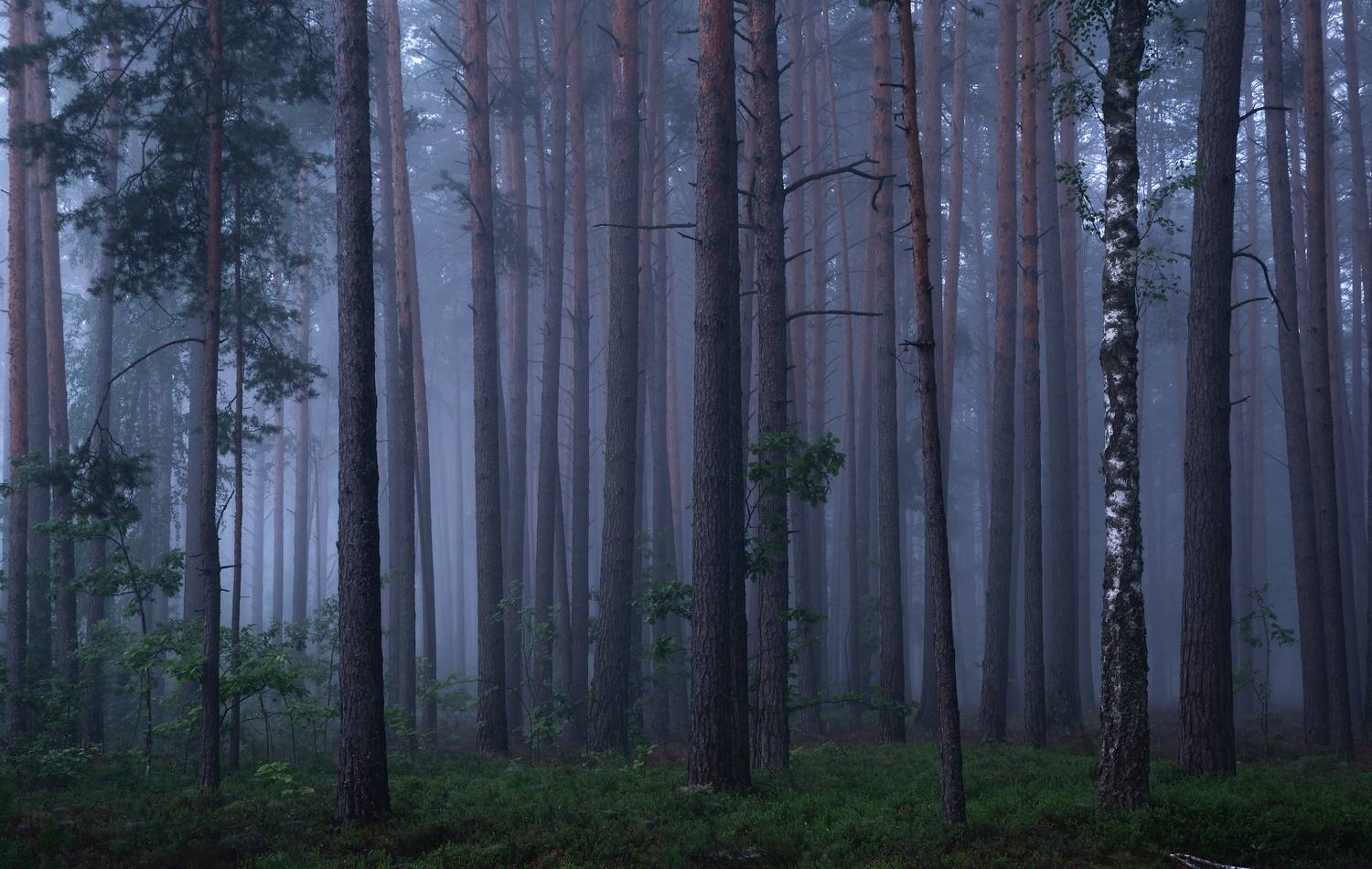 , Захаров Дмитрий