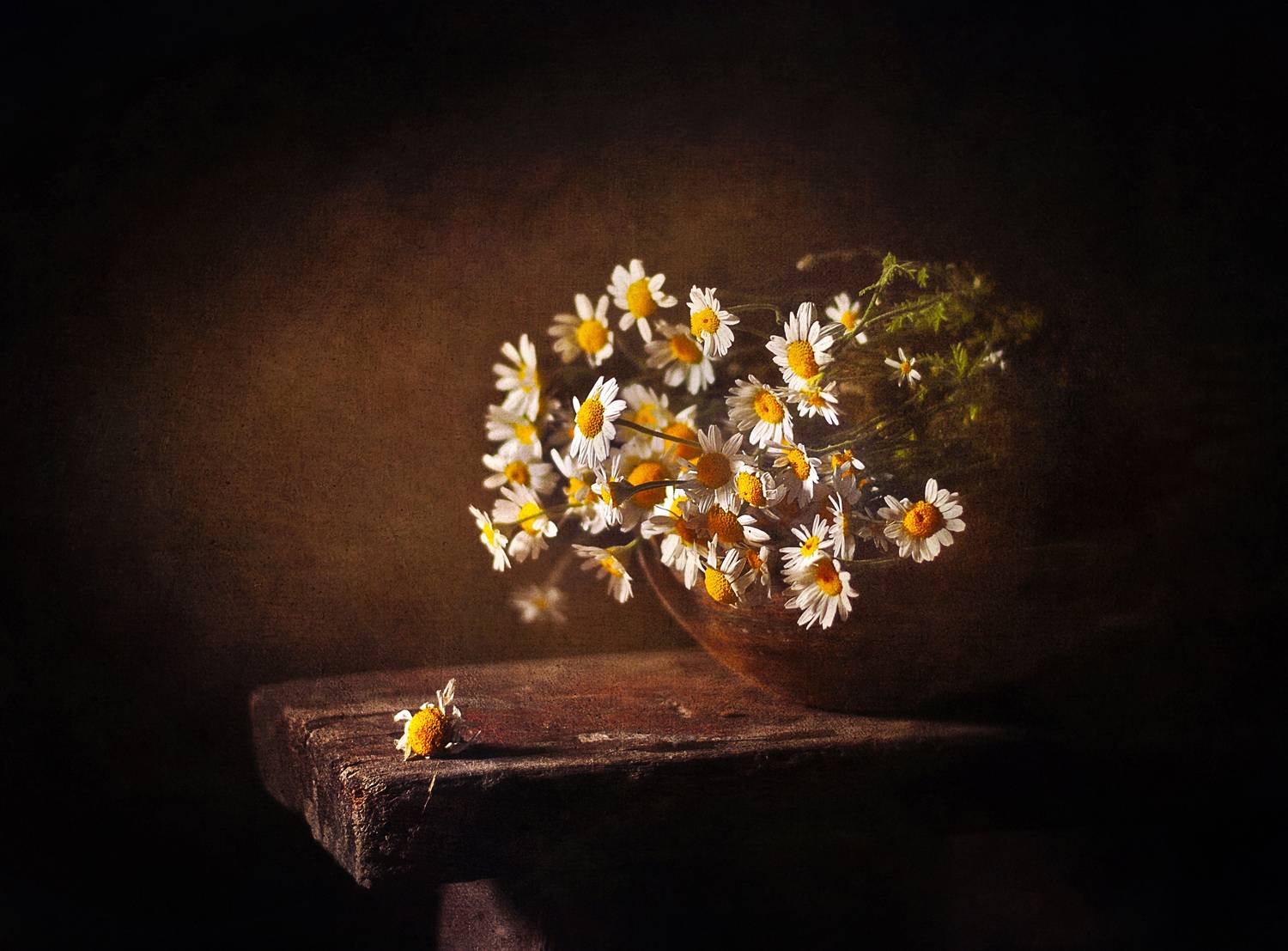 натюрморт, ромашки, лето, цветы, still life, Буглак Инна