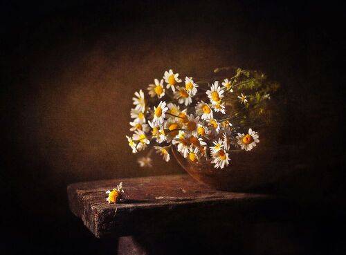 Летним вечером