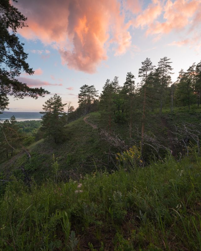 фото превью