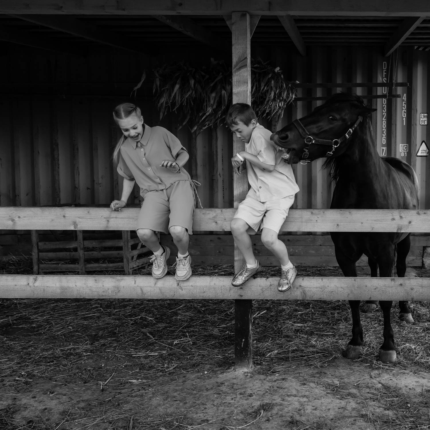 , Александр Шилов