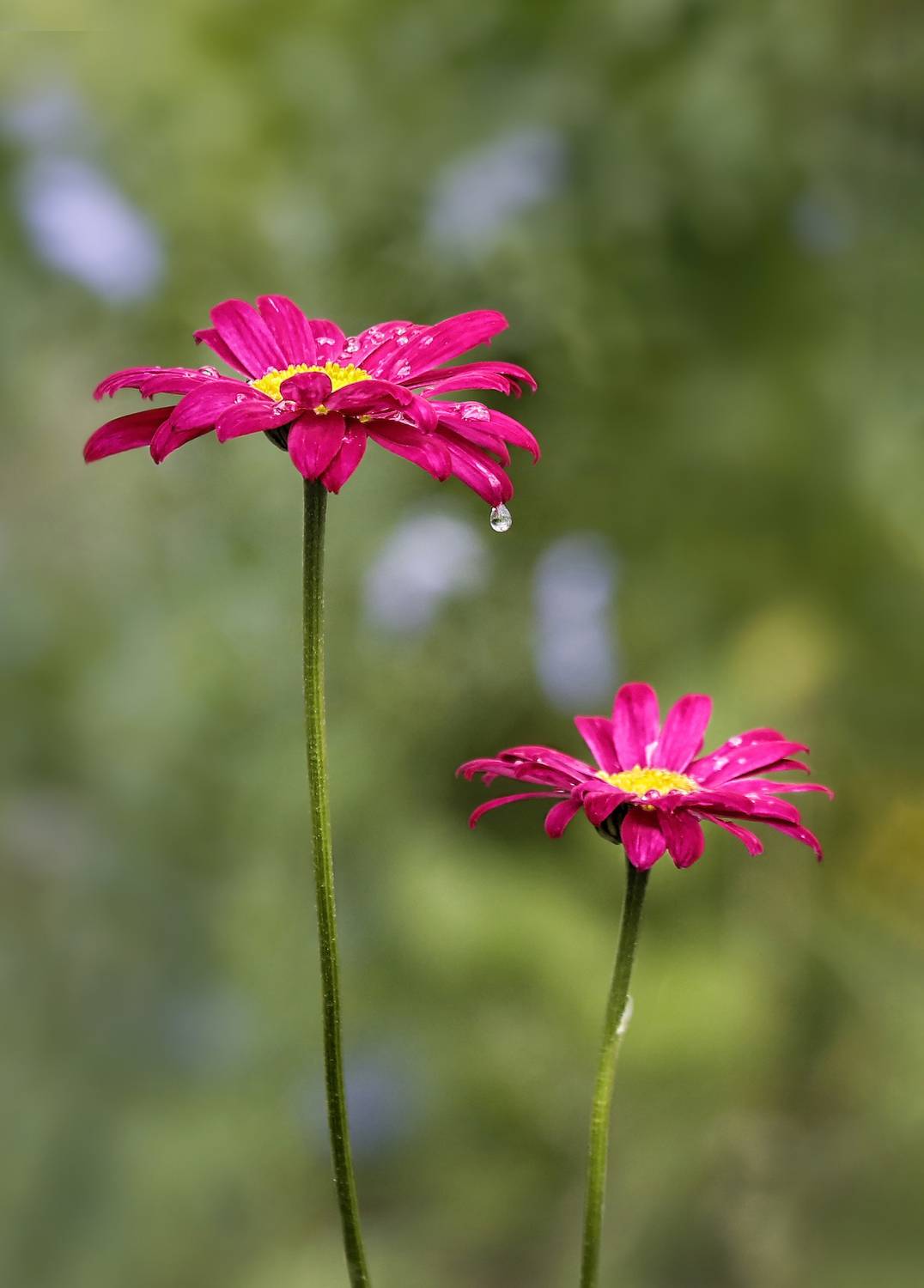 , Ушаков Валерий