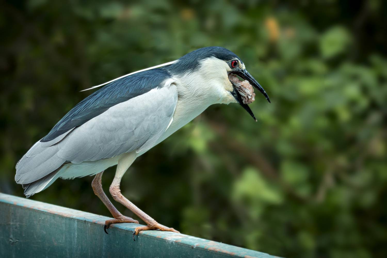 , Горбачева Маментьева Татьяна