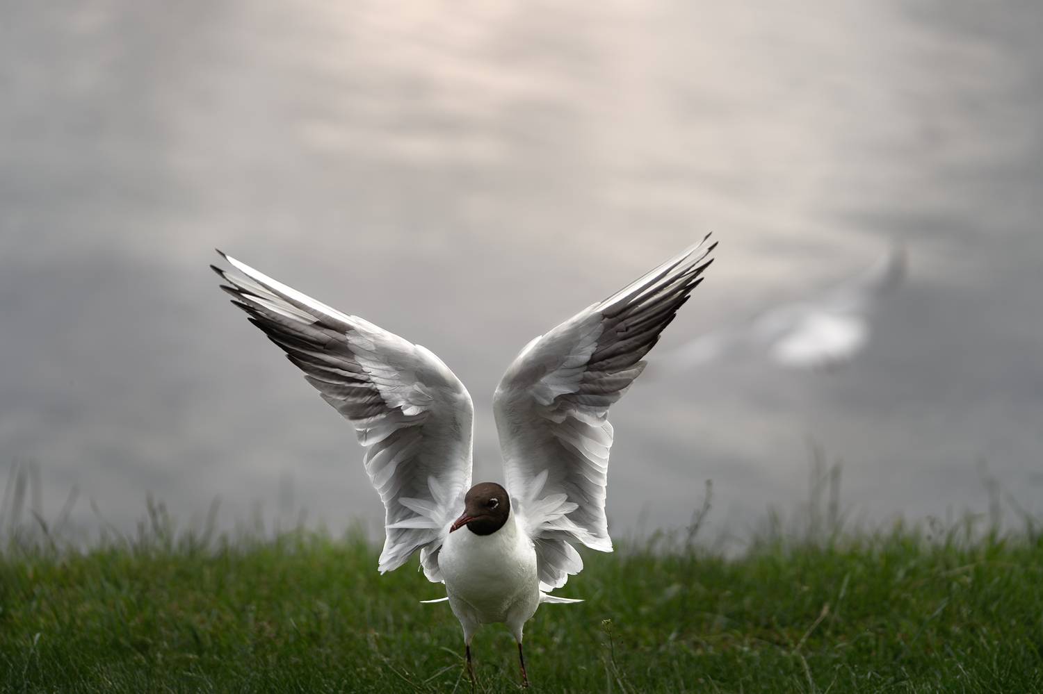 , Шимаковский Юрий