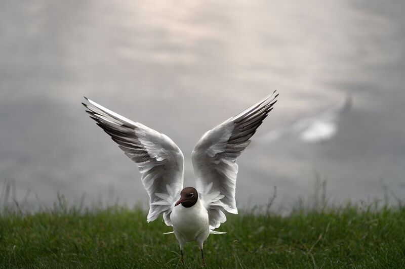 На берегу фото превью