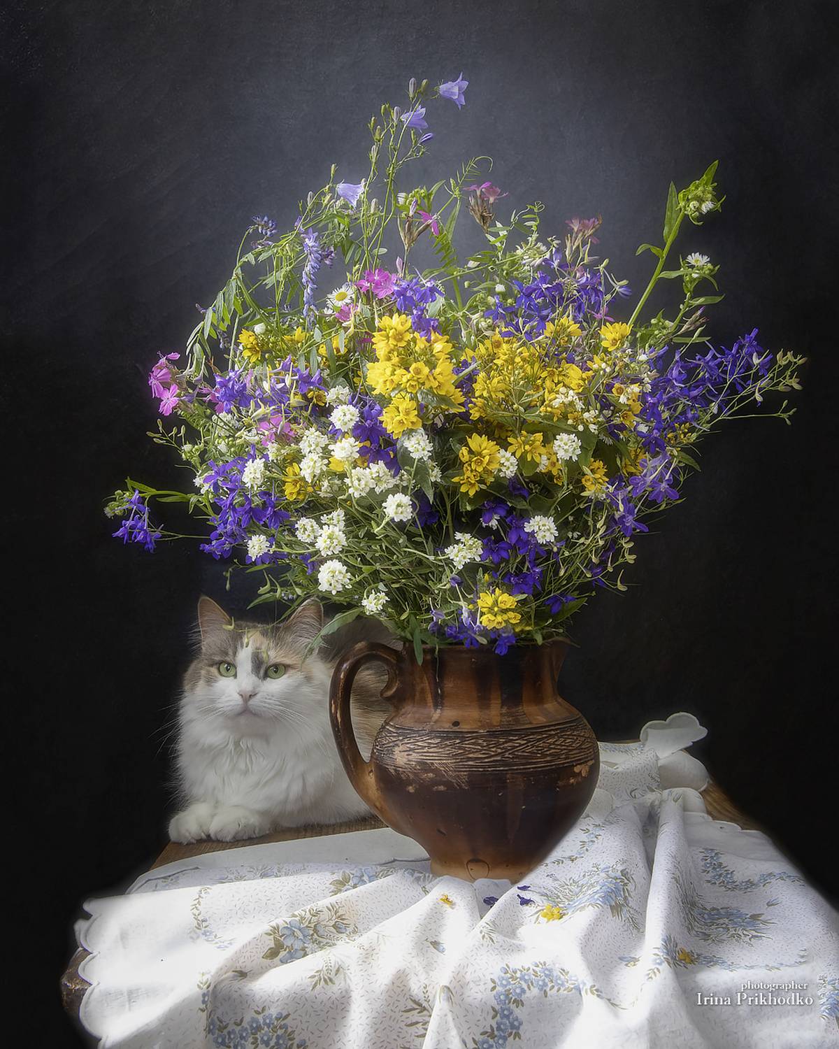 натюрморт, цветы, букеты, полевые цветы, домашние животные, кошки, , Приходько Ирина