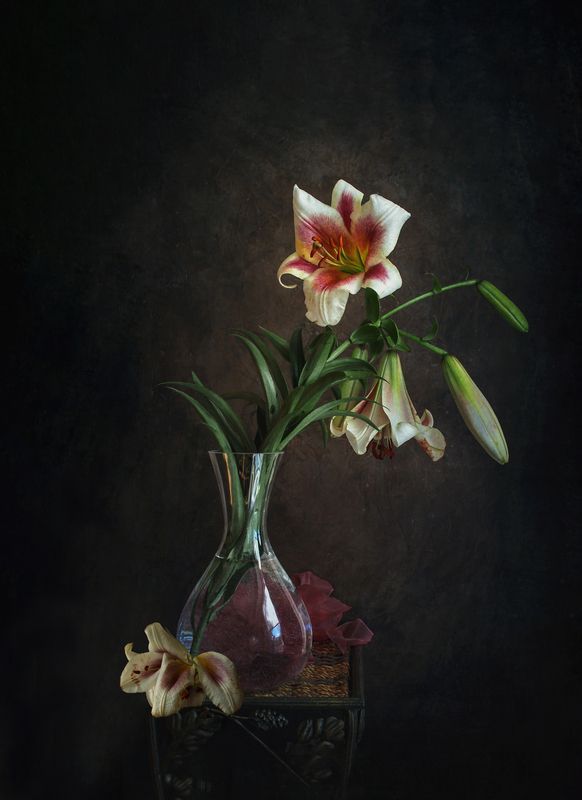 Я ль на свете всех милее, дубль 2. фото превью