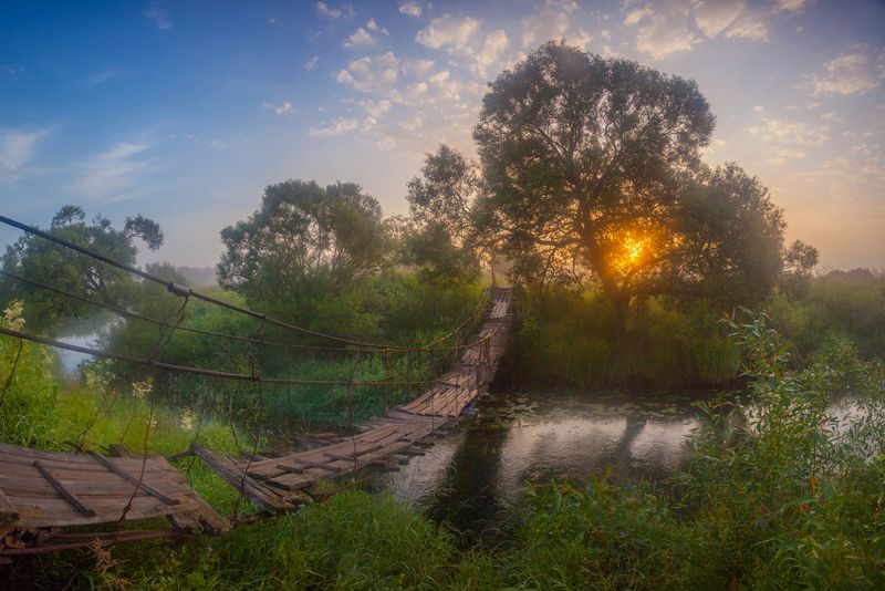 лето , река , туман Летнее утро . фото превью