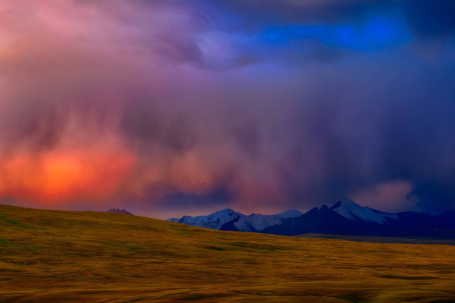 кыргызстан, Элина Магалимова