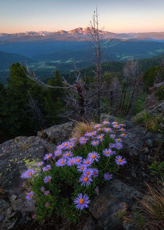 Пробуждение одинокой горы фото превью