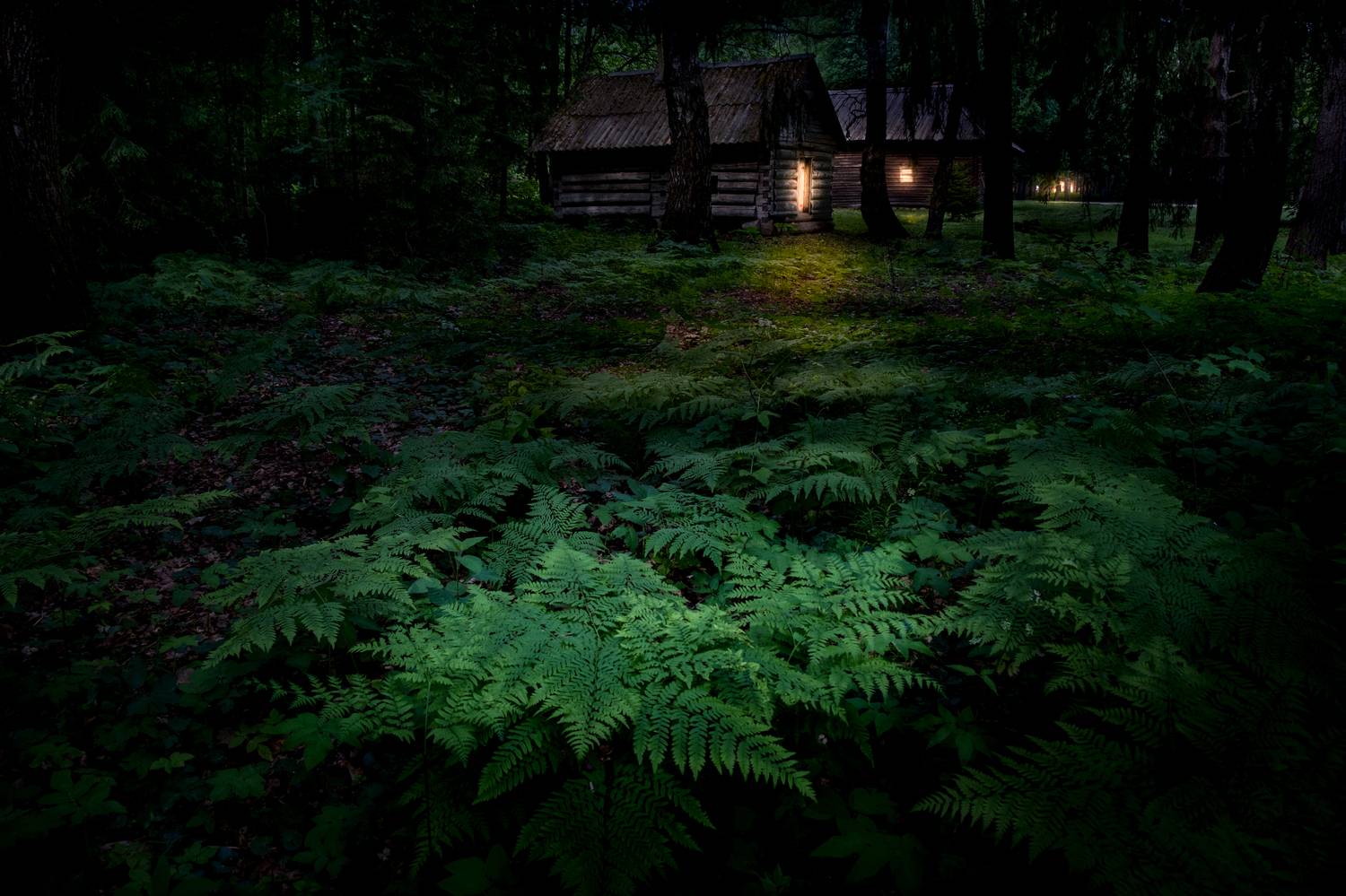 василёво, тверская область, торжок, нд, by night, night, когда не спится, ночное фото, village, деревня, русская деревня, ночь, Демкина Надежда