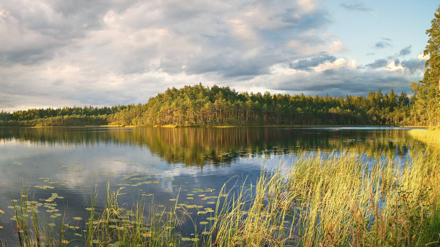 лес, озеро, игра света, беларусь, Виктор Гурков
