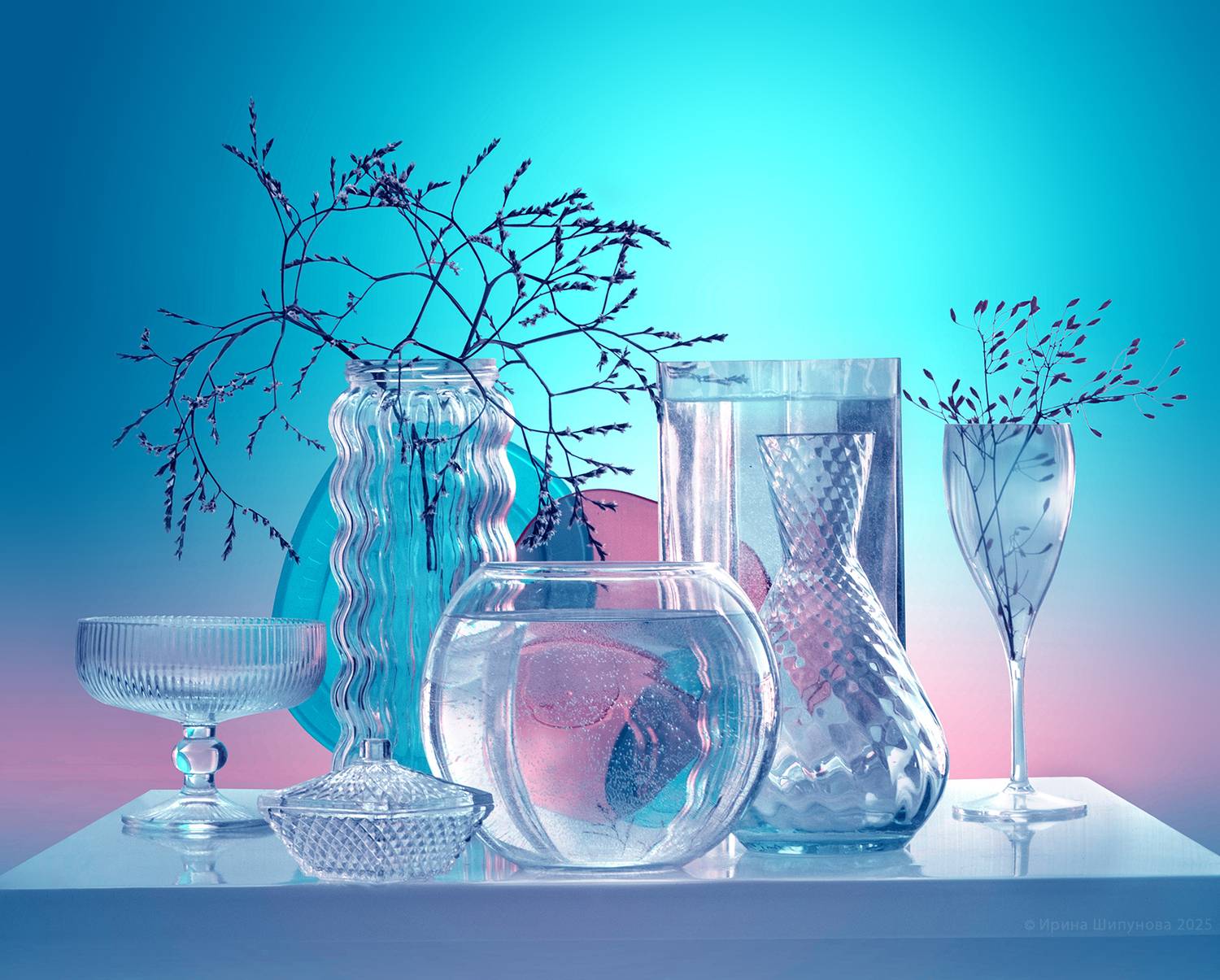 , Шипунова Ирина