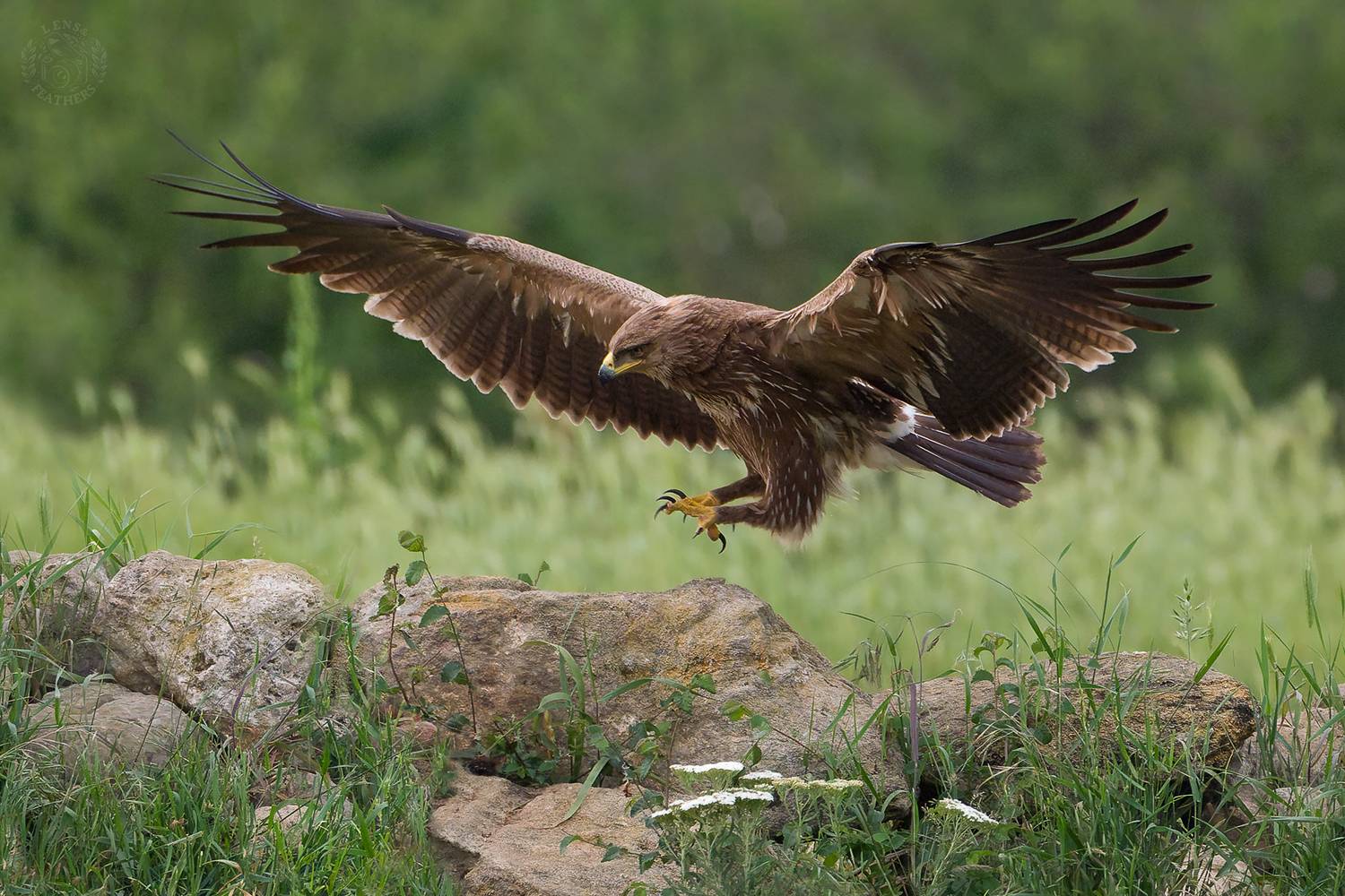 , Евгени Стефанов