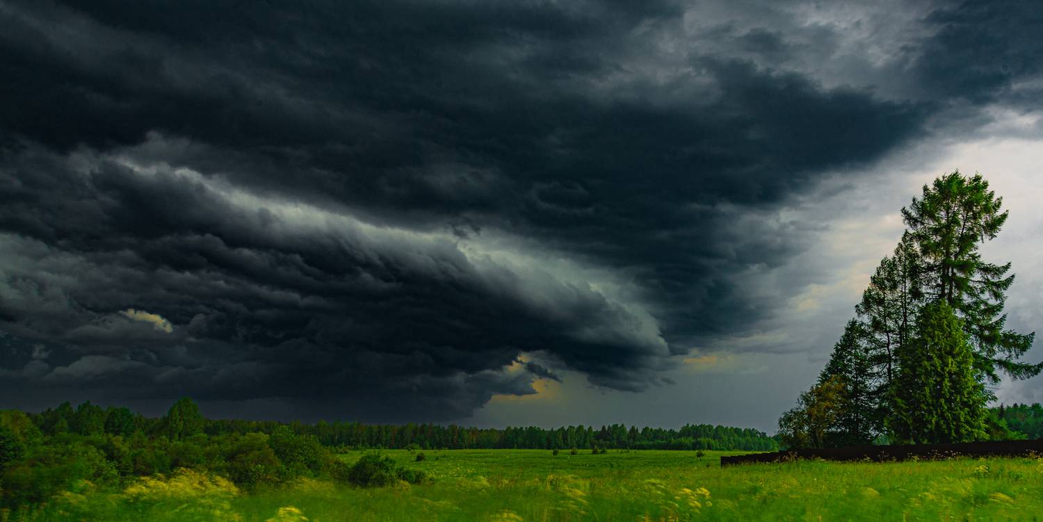 , Кокорин Алексей