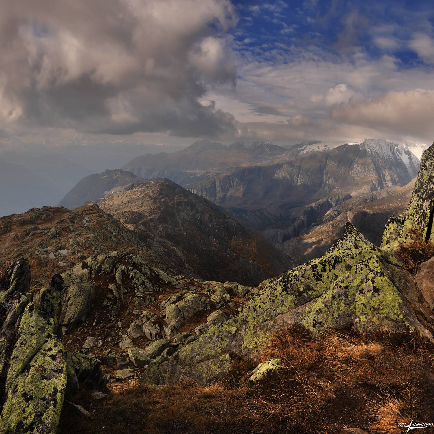 swiss, Матвеев Николай