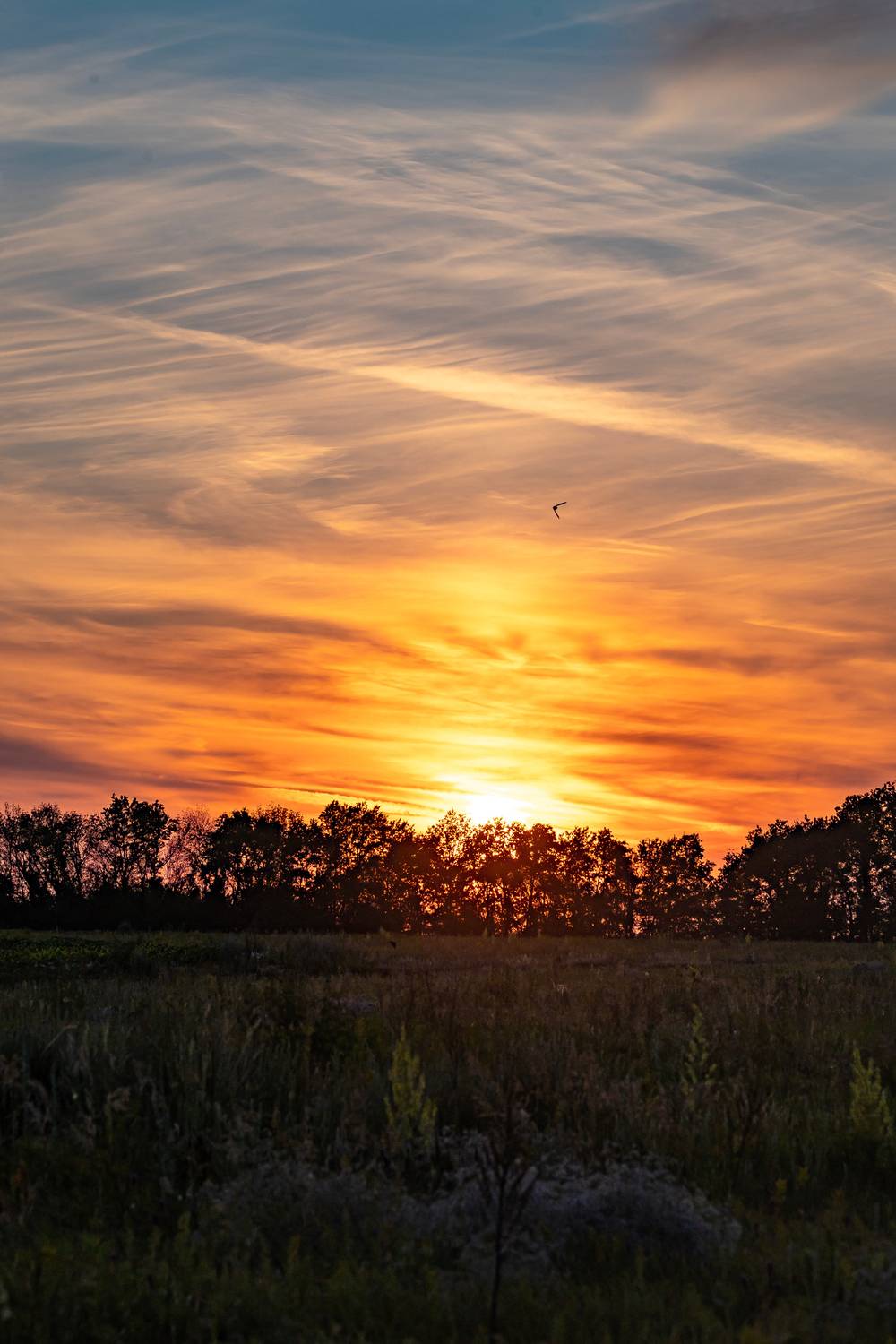 , Подосинников Максим