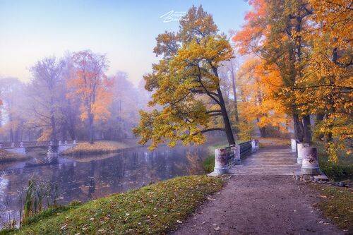 По осенним паркам Санкт-Петербурга.