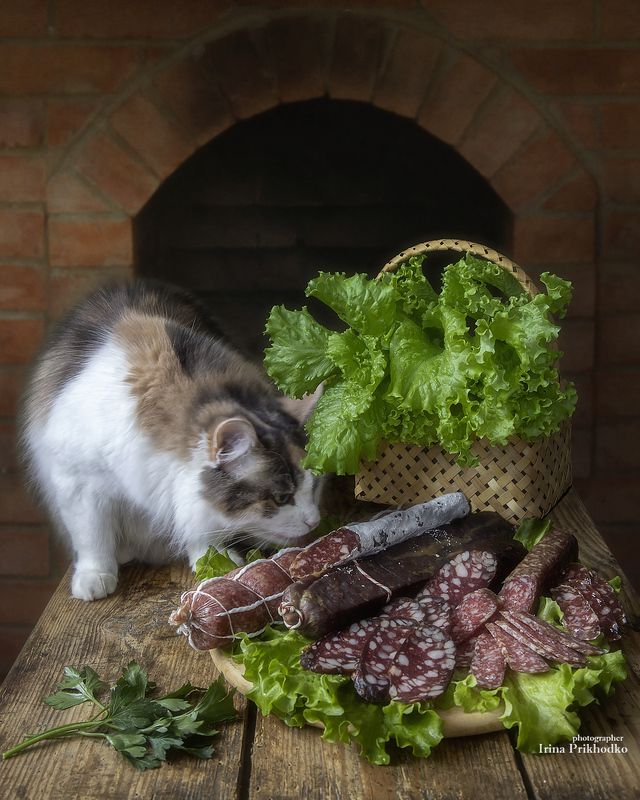 натюрморт, еда, овощи, кошка Дегустатор фото превью