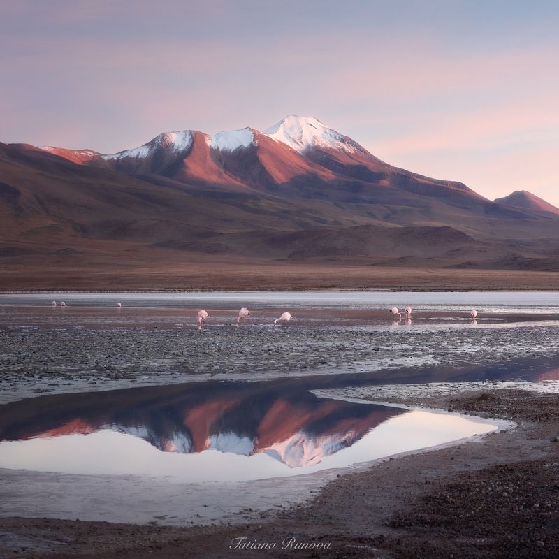 Таинство рассвета фото превью