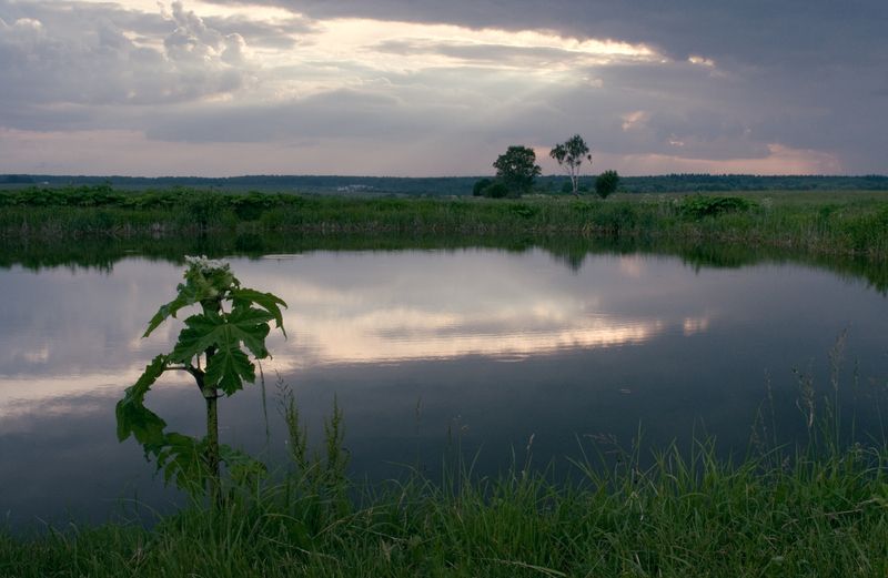 Когда последний луч... фото превью